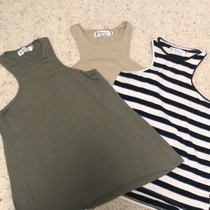 Fighting Eel Tank Bundle